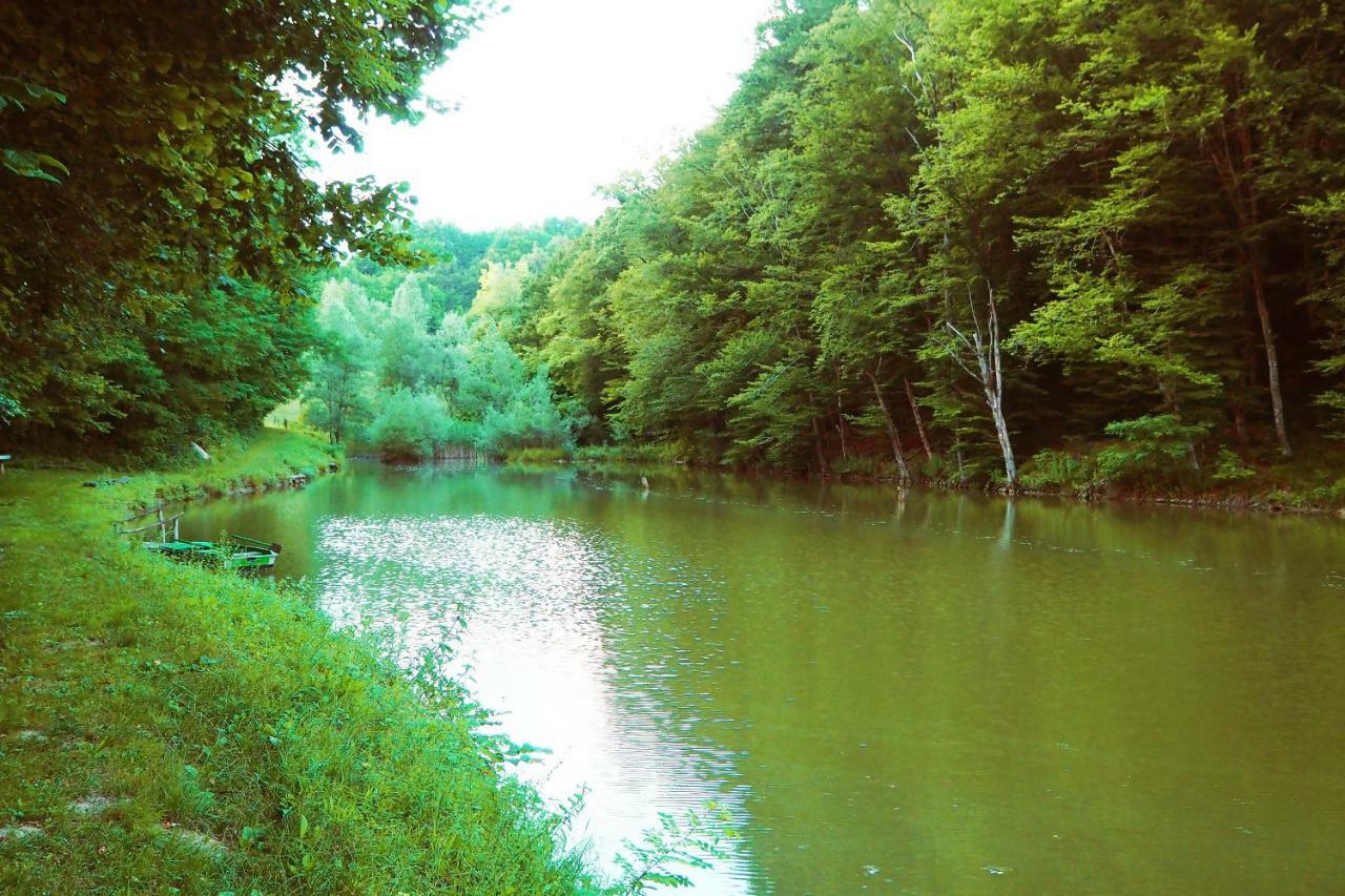 Zagorska SelaKing Of The Hill公寓 外观 照片